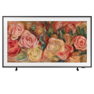 QLED SAMSUNG - TQ65LS03DAUXXC